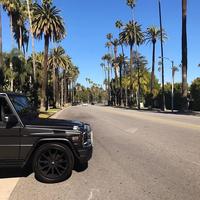 Отзыв от Григорий - DTV виза